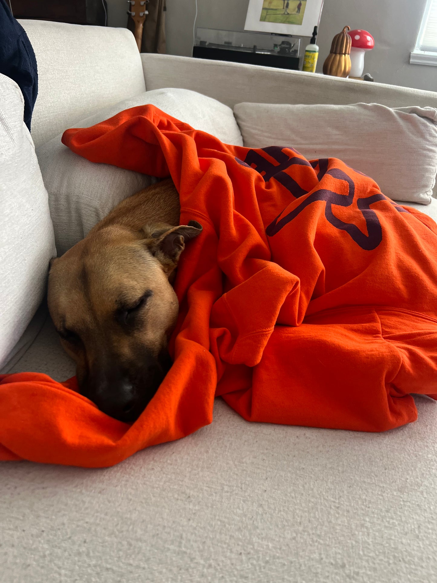 GUSHER HOODIE - ORANGE